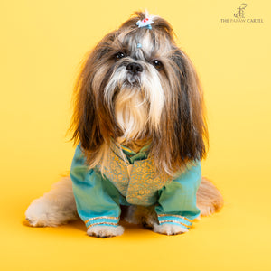 Sky Blue Neemzari koti kurta set For Dogs