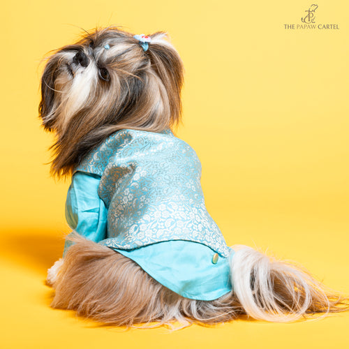 Sky Blue Neemzari koti kurta set For Dogs