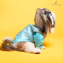Load image into Gallery viewer, Sky Blue Neemzari koti kurta set For Dogs