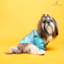 Load image into Gallery viewer, Sky Blue Neemzari koti kurta set For Dogs