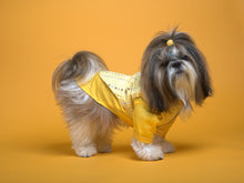 Load image into Gallery viewer, Sunshine yellow koti kurta set with mirror embroidery For Dogs