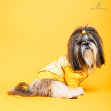 Load image into Gallery viewer, Sunshine yellow koti kurta set with mirror embroidery For Dogs