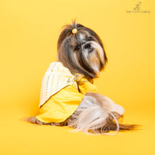 Load image into Gallery viewer, Sunshine yellow koti kurta set with mirror embroidery For Dogs