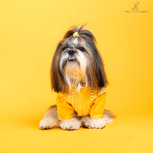 Load image into Gallery viewer, Sunshine yellow koti kurta set with mirror embroidery For Dogs