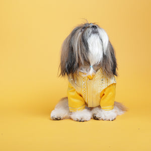 Sunshine yellow koti kurta set with mirror embroidery For Dogs