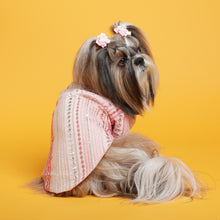 Load image into Gallery viewer, Shades of pink mirrored sherwani Sherwani For Dogs