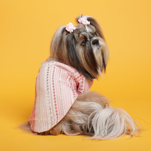 Shades of pink mirrored sherwani Sherwani For Dogs