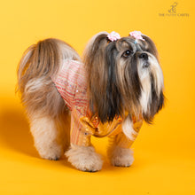 Load image into Gallery viewer, Shades of pink mirrored sherwani Sherwani For Dogs