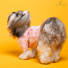 Load image into Gallery viewer, Shades of pink mirrored sherwani Sherwani For Dogs