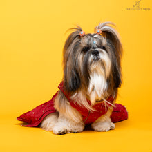 Load image into Gallery viewer, Desi girl in Red banarasi polka dot gown For Dogs