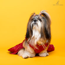 Load image into Gallery viewer, Desi girl in Red banarasi polka dot gown For Dogs