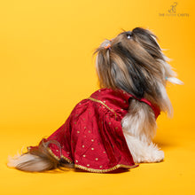 Load image into Gallery viewer, Desi girl in Red banarasi polka dot gown For Dogs