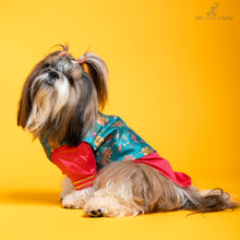 Load image into Gallery viewer, Fuschia pink kurta with embroidered floral teal koti For Dogs