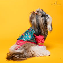 Load image into Gallery viewer, Fuschia pink kurta with embroidered floral teal koti For Dogs