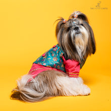 Load image into Gallery viewer, Fuschia pink kurta with embroidered floral teal koti For Dogs