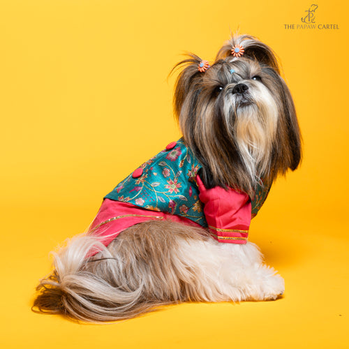 Fuschia pink kurta with embroidered floral teal koti For Dogs
