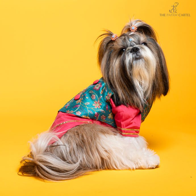 Fuschia pink kurta with embroidered floral teal koti For Dogs