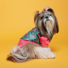 Load image into Gallery viewer, Fuschia pink kurta with embroidered floral teal koti For Dogs