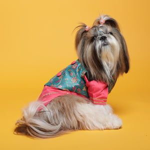 Fuschia pink kurta with embroidered floral teal koti For Dogs