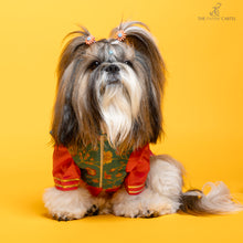 Load image into Gallery viewer, Fuschia pink kurta with embroidered floral teal koti For Dogs
