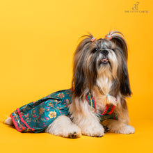 Load image into Gallery viewer, Dil Rooba floral teal ghagra choli Dress For Dogs
