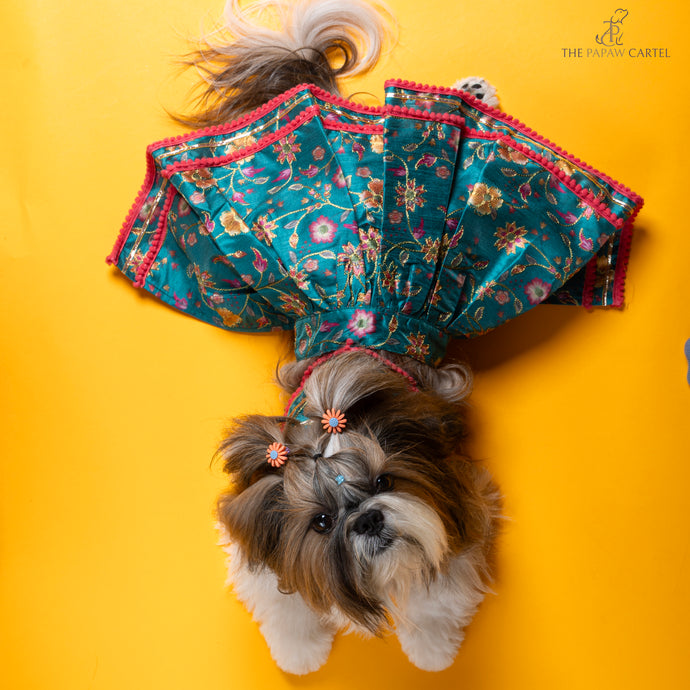 Dil Rooba floral teal ghagra choli Dress For Dogs