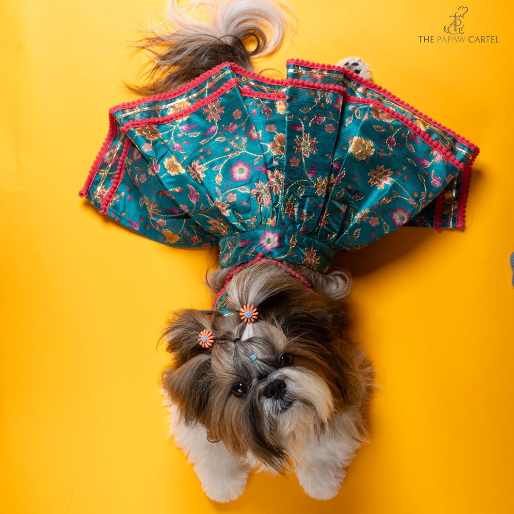 Dil Rooba floral teal ghagra choli Dress For Dogs