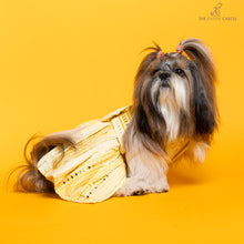 Load image into Gallery viewer, Sunshine ghagra choli with mirror embroidery For Dogs