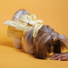 Load image into Gallery viewer, Sunshine ghagra choli with mirror embroidery For Dogs