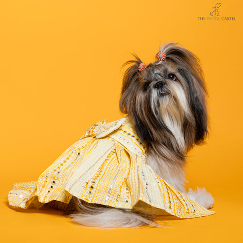 Sunshine ghagra choli with mirror embroidery For Dogs
