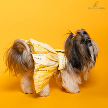 Load image into Gallery viewer, Sunshine ghagra choli with mirror embroidery For Dogs