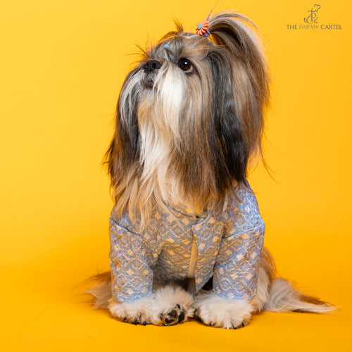 Baby blue mosaic weave koti with zari detailing sherwani For Dogs