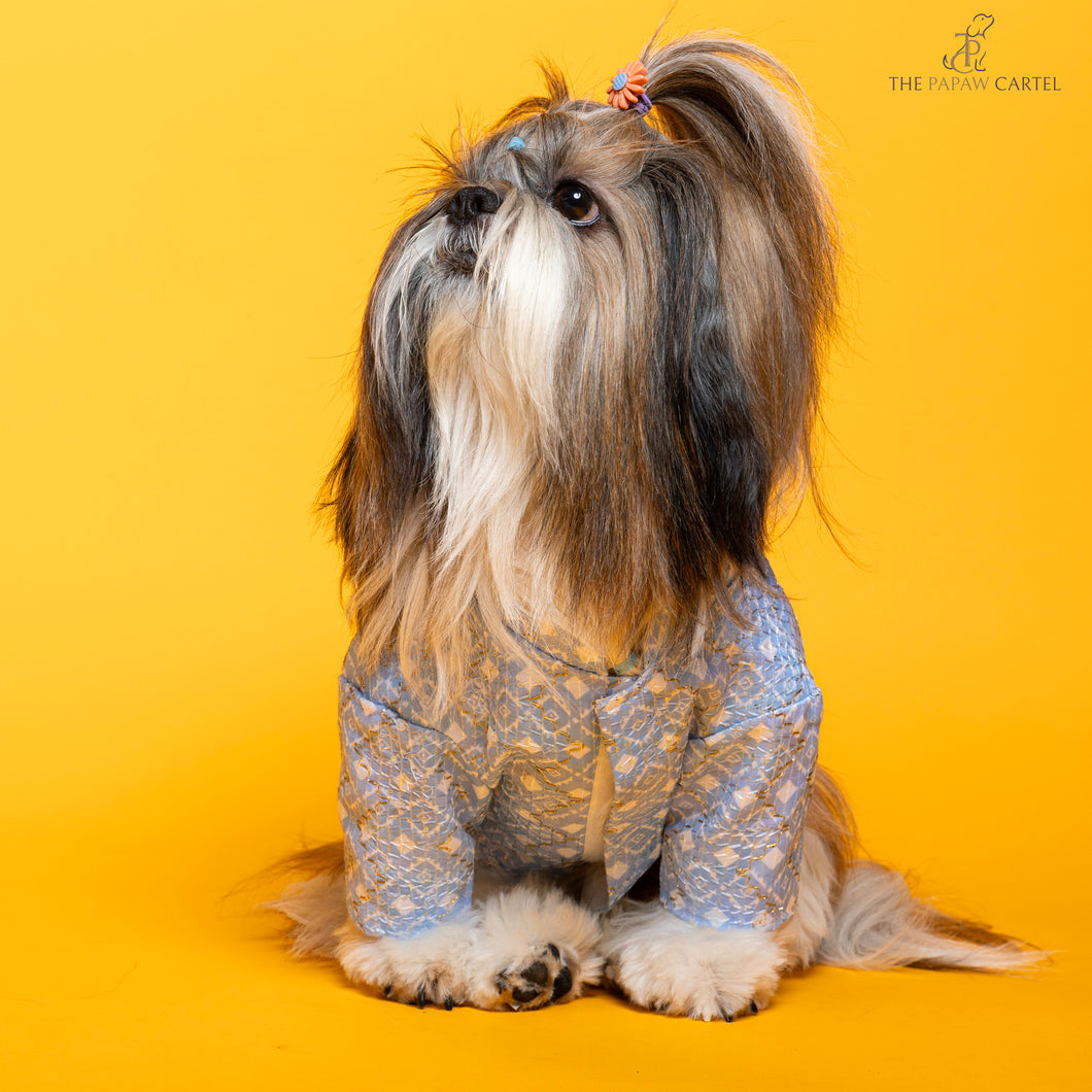 Baby blue mosaic weave koti with zari detailing sherwani For Dogs