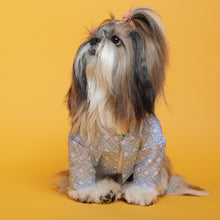 Load image into Gallery viewer, Baby blue mosaic weave koti with zari detailing sherwani For Dogs