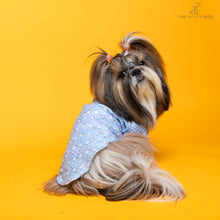 Load image into Gallery viewer, Baby blue mosaic weave koti with zari detailing sherwani For Dogs