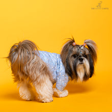 Load image into Gallery viewer, Baby blue mosaic weave koti with zari detailing sherwani For Dogs