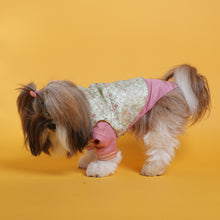 Load image into Gallery viewer, Floral Embroidered Koti And Pink Kurta Set For Dogs