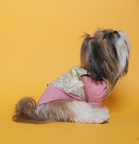 Floral Embroidered Koti And Pink Kurta Set For Dogs