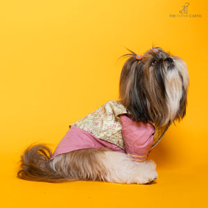 Floral Embroidered Koti And Pink Kurta Set For Dogs