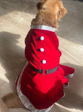 Load image into Gallery viewer, Santa Female Costume for dogs