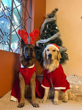 Load image into Gallery viewer, Santa Male Costume for dogs