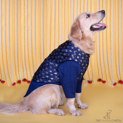 Midnight Blue Minakari Butti Traditional Koti kurta set for dogs