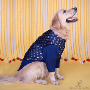 Midnight Blue Minakari Butti Traditional Koti kurta set for dogs