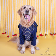 Load image into Gallery viewer, Midnight Blue Minakari Butti Traditional Koti kurta set for dogs