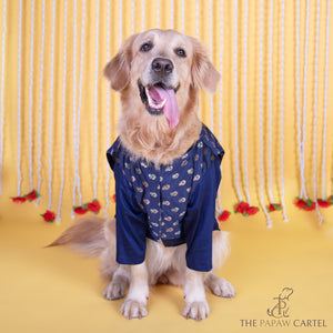 Midnight Blue Minakari Butti Traditional Koti kurta set for dogs