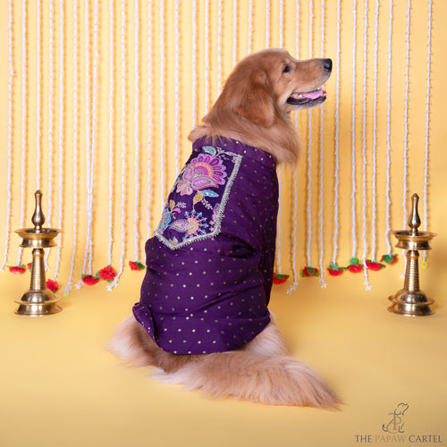 Purple Paisley Indian Motif Embroidered Kurta for dogs
