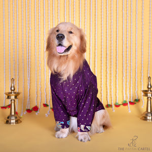 Purple Paisley Indian Motif Embroidered Kurta for dogs