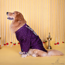 Load image into Gallery viewer, Purple Paisley Indian Motif Embroidered Kurta for dogs