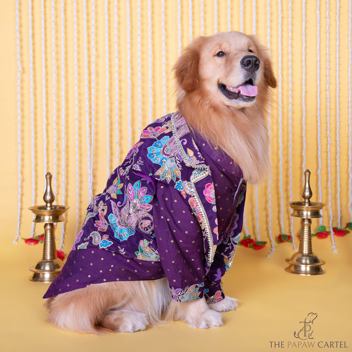 Purple Paisley Motif Embroidered Jacket style koti kurta set for dogs