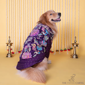 Purple Paisley Motif Embroidered Jacket style koti kurta set for dogs